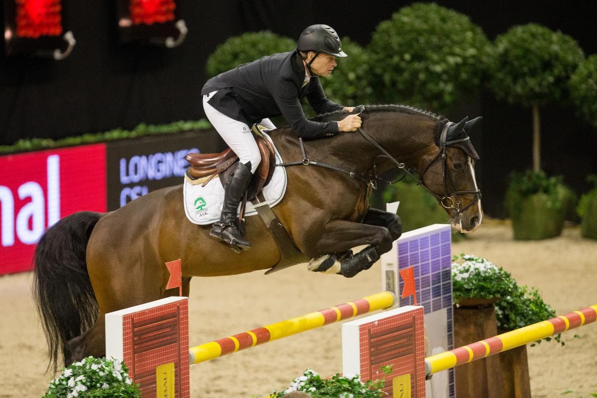 Ny ranking: Casall Ask bland hingstarna med flest avkommor i internationell sport