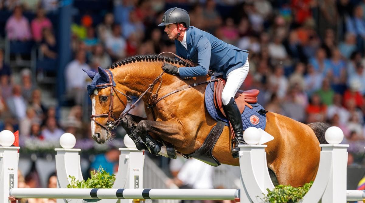 Här är stamböckerna som dominerar hoppsporten 2026