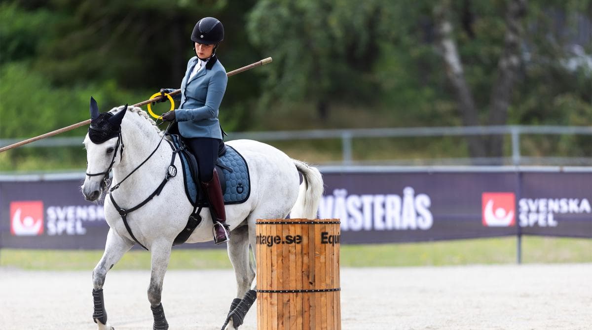 Dags för SM i working equitation