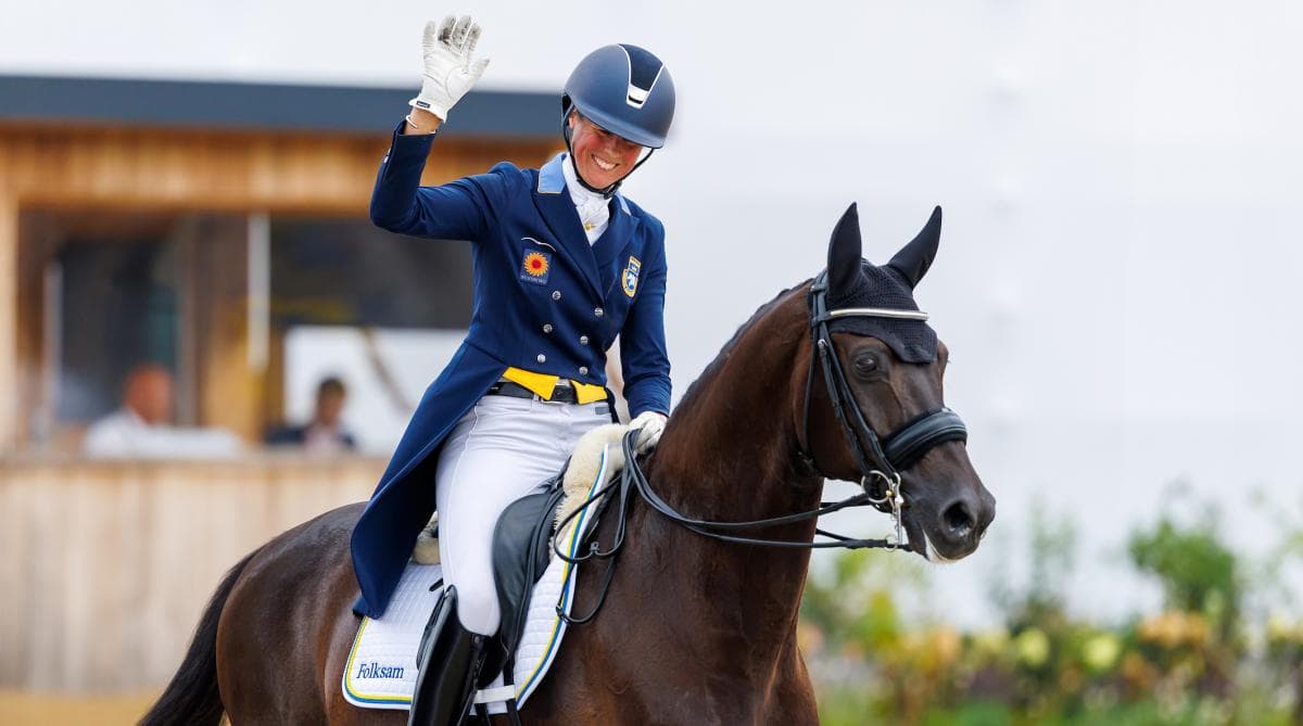 VM-aktuella ryttare vässar formen i Falsterbo