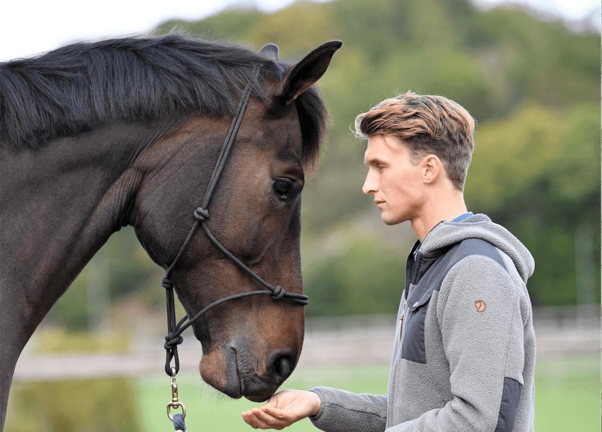 Lucas tillbaka hos Carl Hedin: "Vi får lära känna varandra igen"