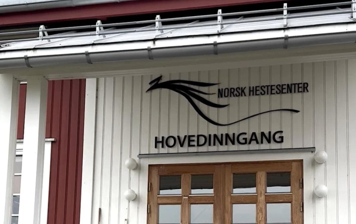 Norsk ryttare omkom efter fälttävlansolycka: "Tung dag för norsk ridsport"
