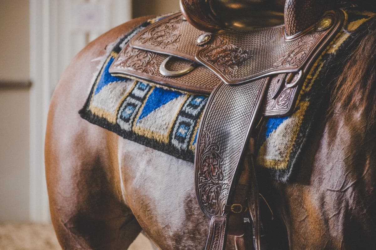 Han rider från norra Dalarna till Sveriges sydligaste punkt