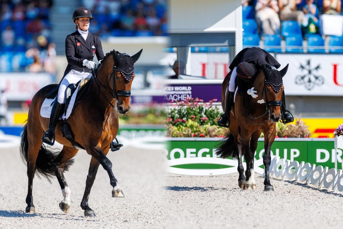 Cathrine Laudrup Dufour besviken trots VM-silver