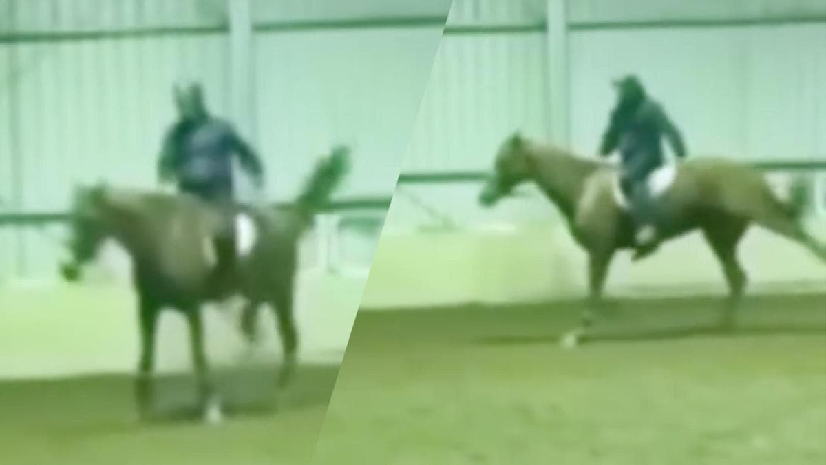 OS-ryttaren fälls efter uppmärksammad video