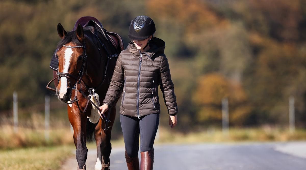 Enkät: Hur mår svensk ridsport – egentligen?