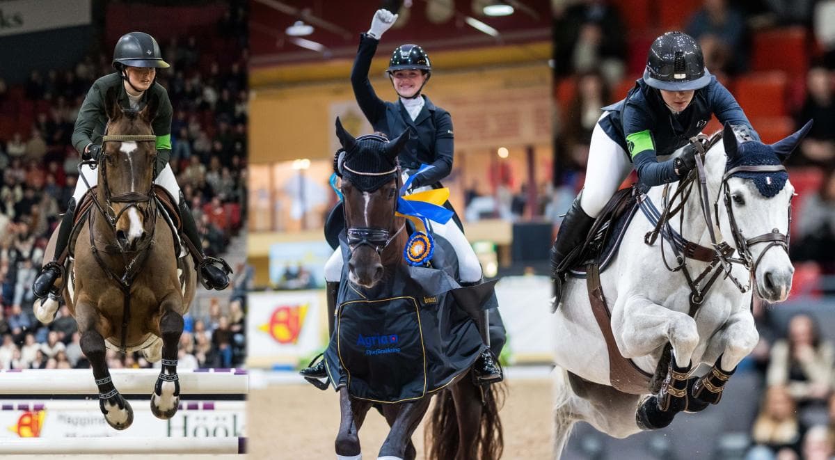 Tre ridsporttalanger får elitstipendium