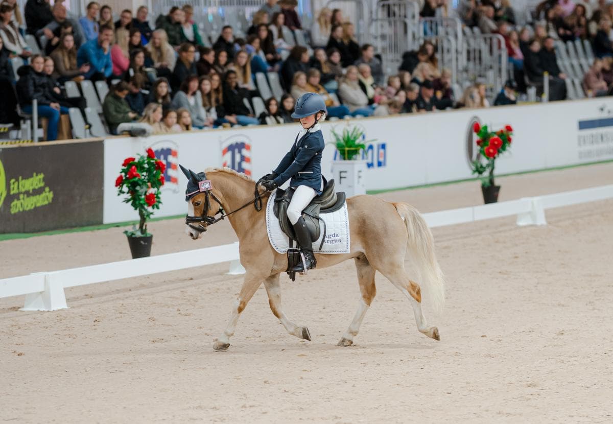 Rekordmånga anslutningar till Jönköping Horse Show – dressyrintresset ökar