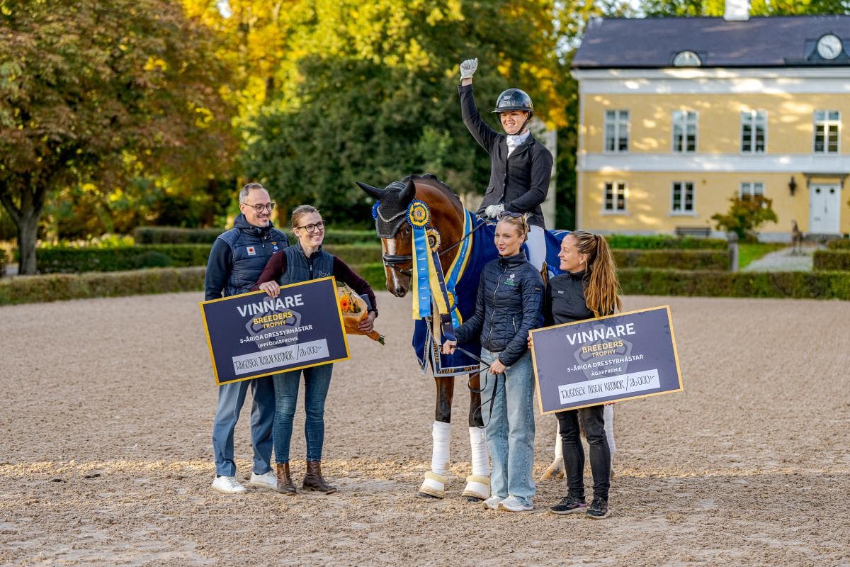Lina Dolk och Mackmyras Amorino vinner för andra året i rad