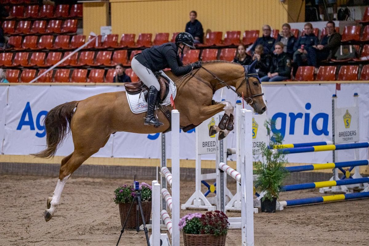 Fel vinnare utsågs i Breeders – resultatet ändras i efterhand
