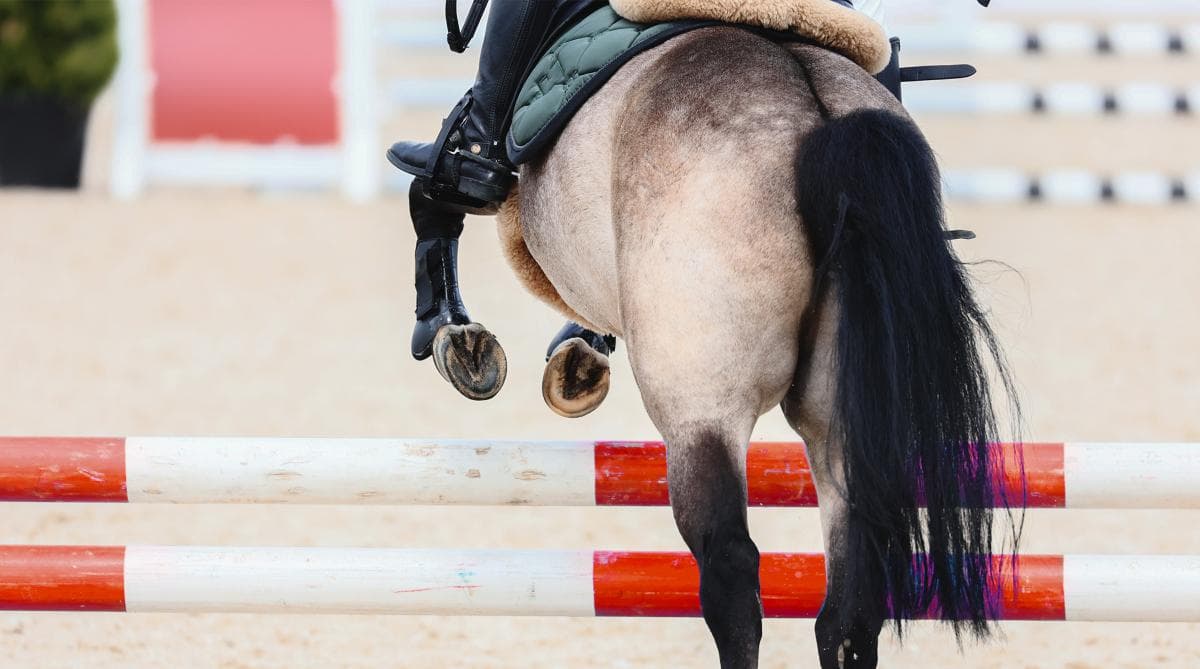 Brittiskt beslut begränsar barns tävlande på stora arenor