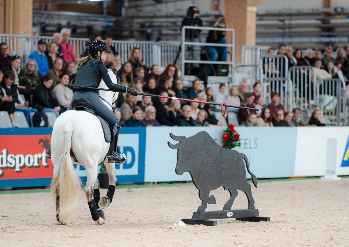 WE–debut på Jönköping Horse Show – här är vinnarna