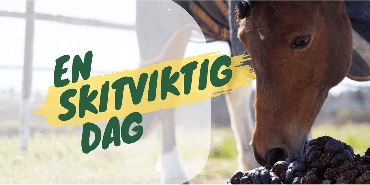 INBJUDAN: En Skitviktig dag