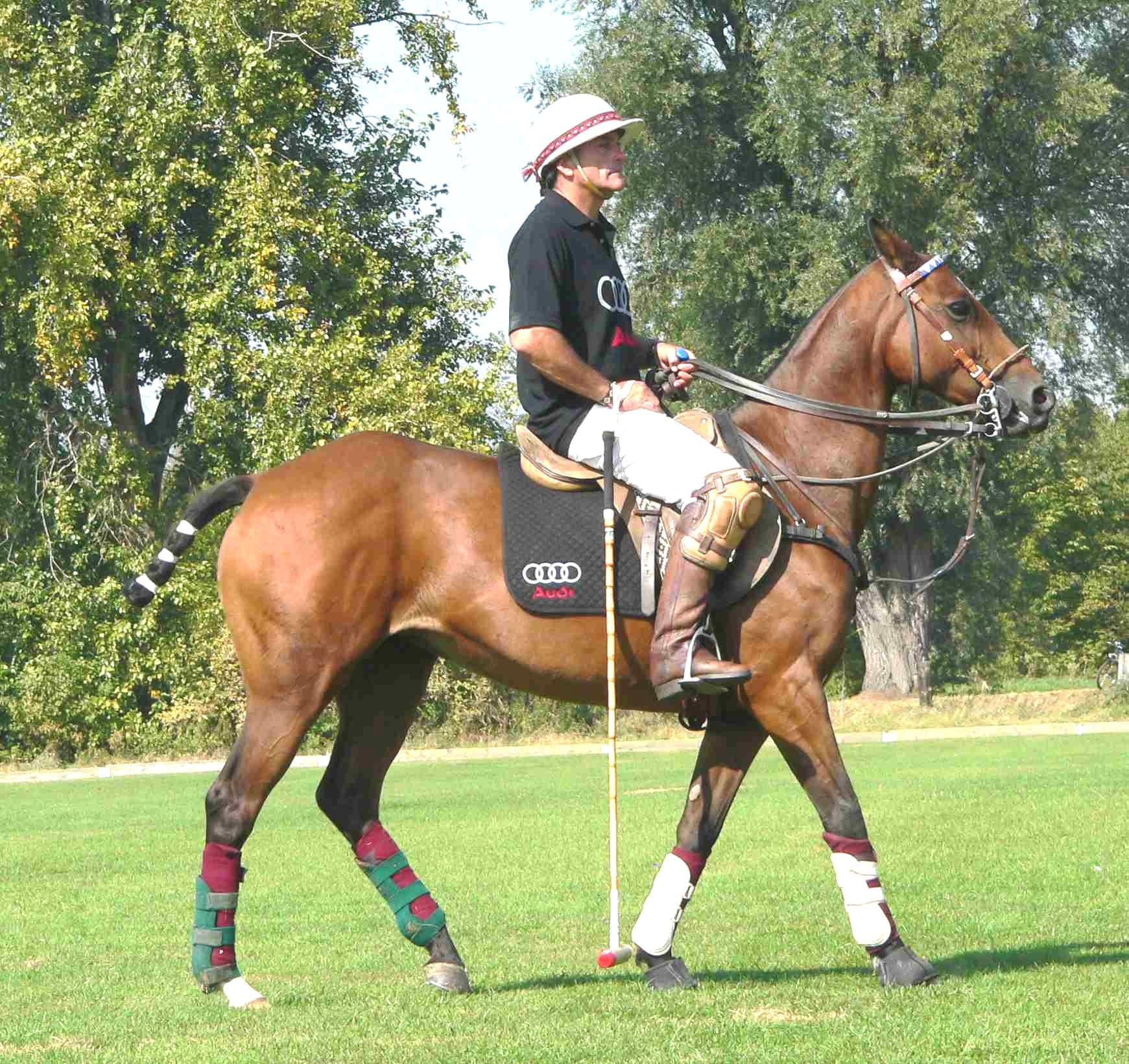 Poloponny