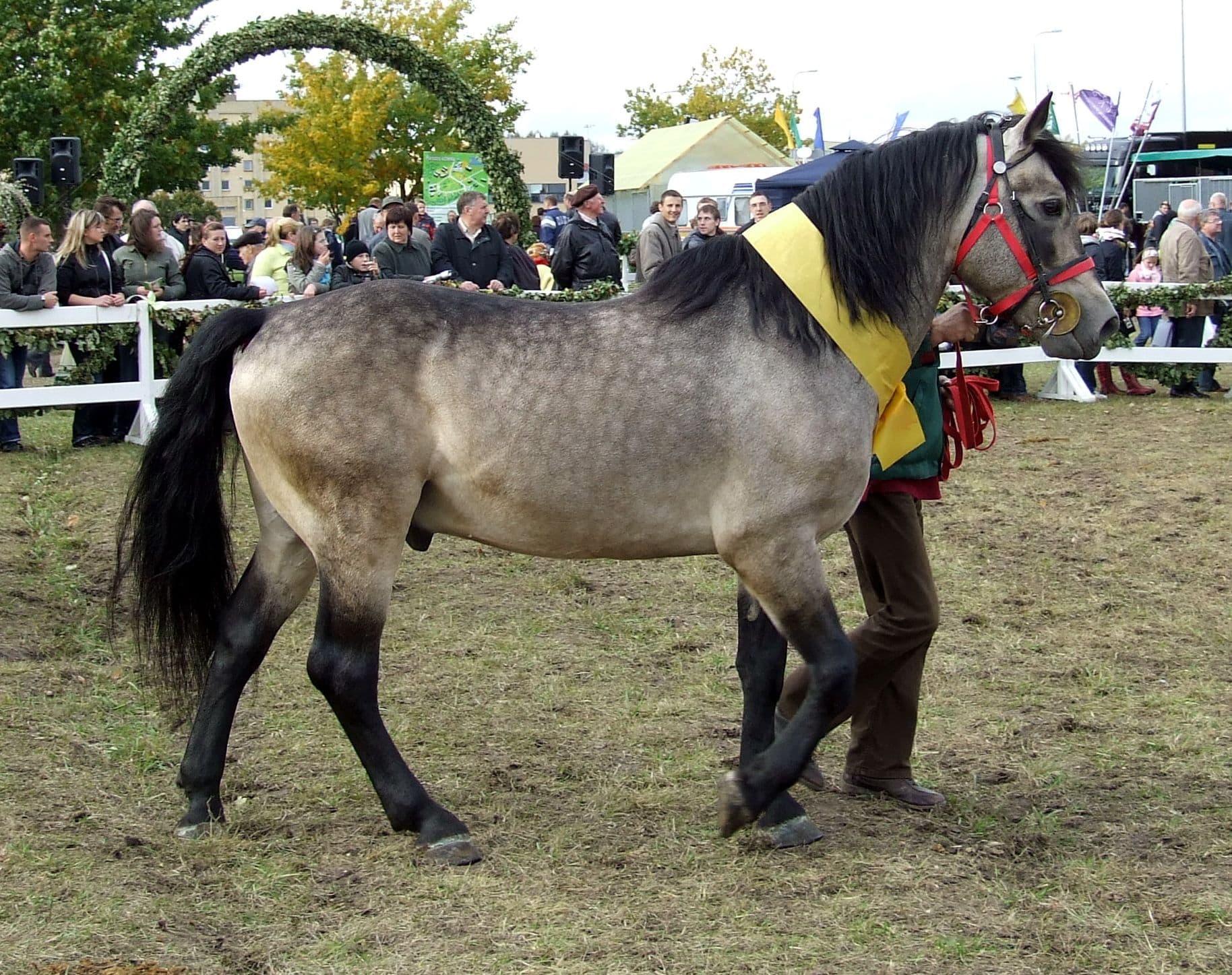 Zemaituka