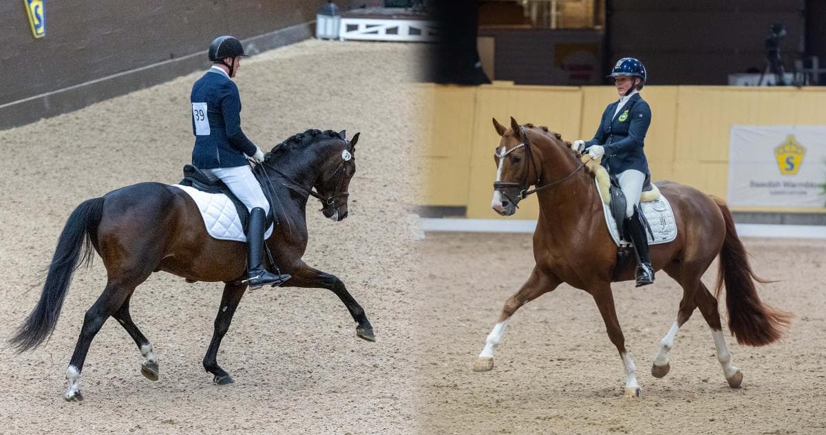Här är hästarna som nominerats till unghäst-VM i dressyr