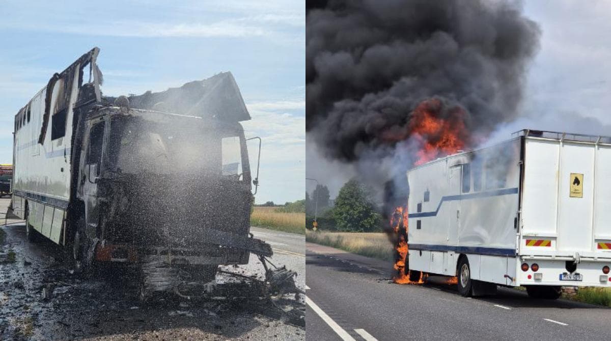 Hästlastbilen totalförstördes i brand: ”Vi hade omöjligen hunnit lasta av hästarna”