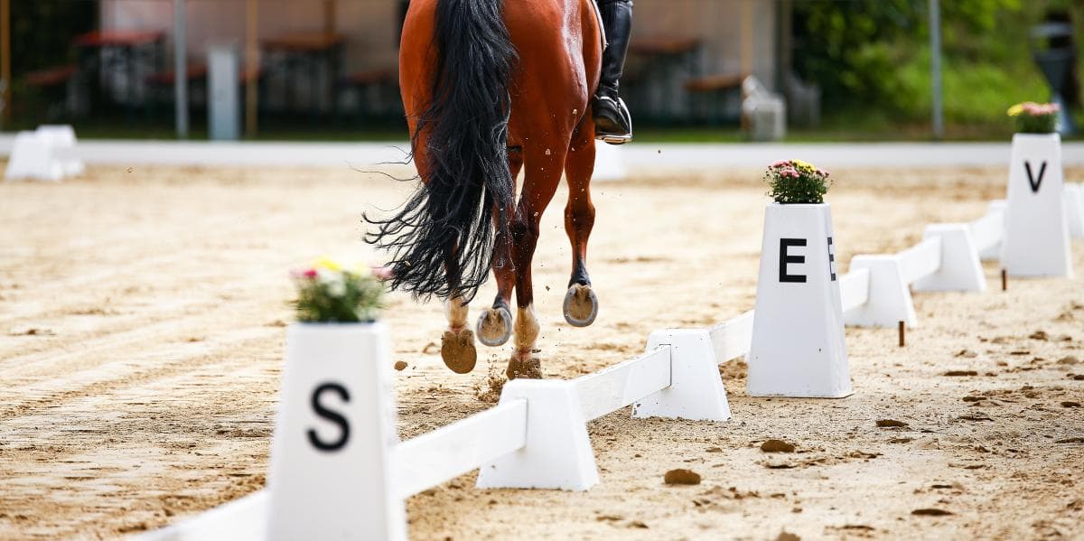 Brons till svenska laget i ponny-EM