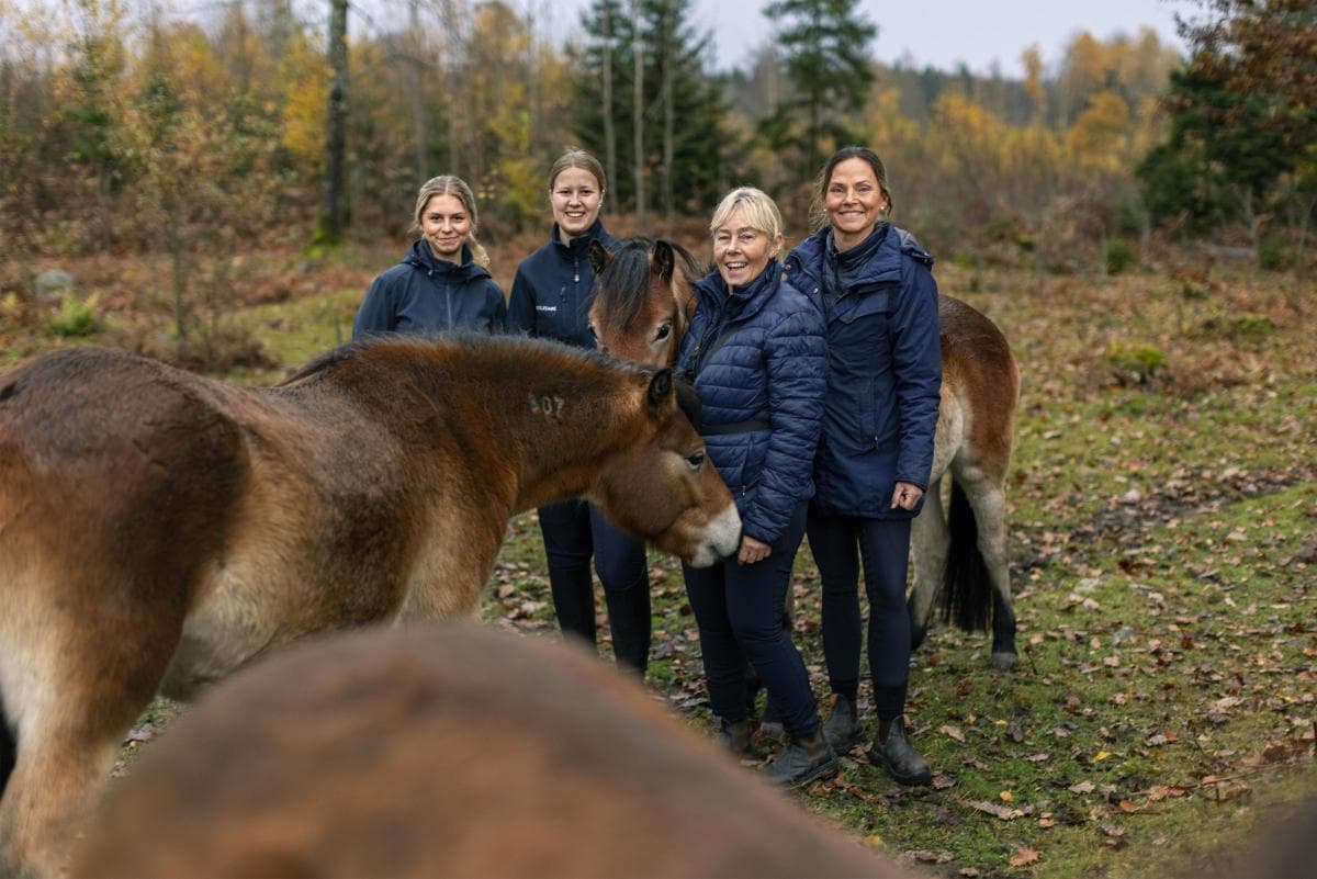 Dags att nominera Årets ridskola 2026