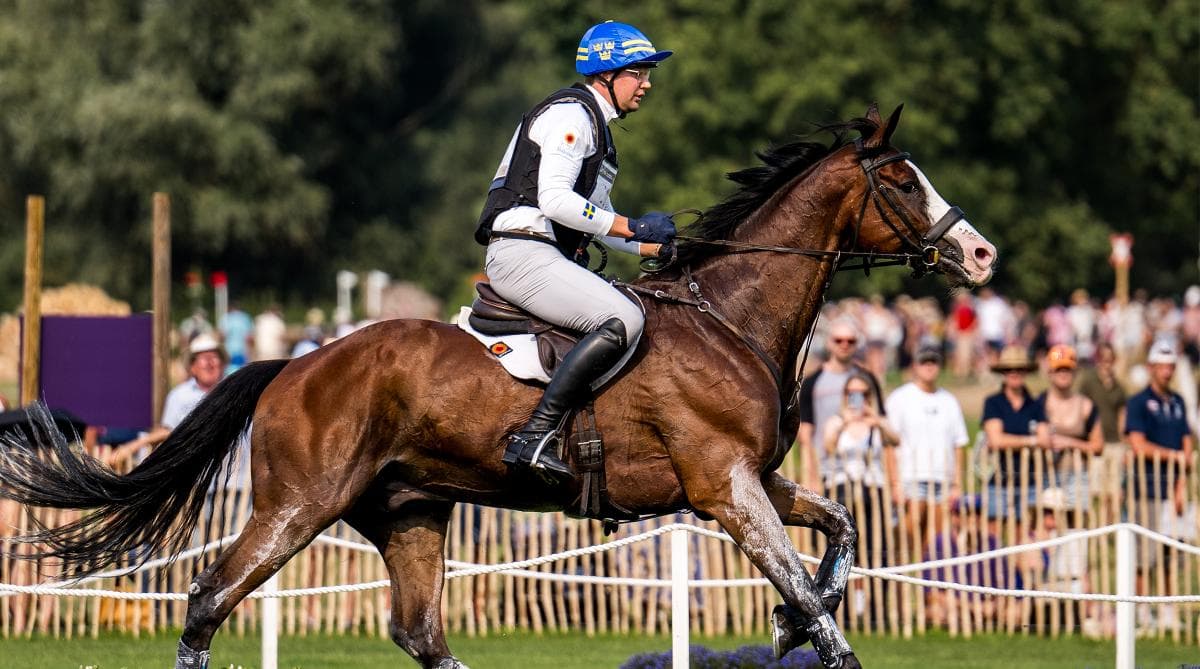 Christoffer Forsberg om sin häst: ”Han har sjutton det största hjärtat”