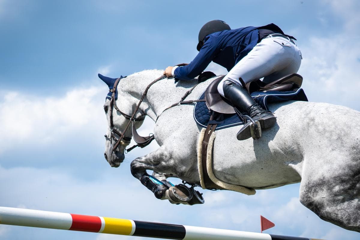 FEI utfärdar nya utrustningsregler i internationell hoppning