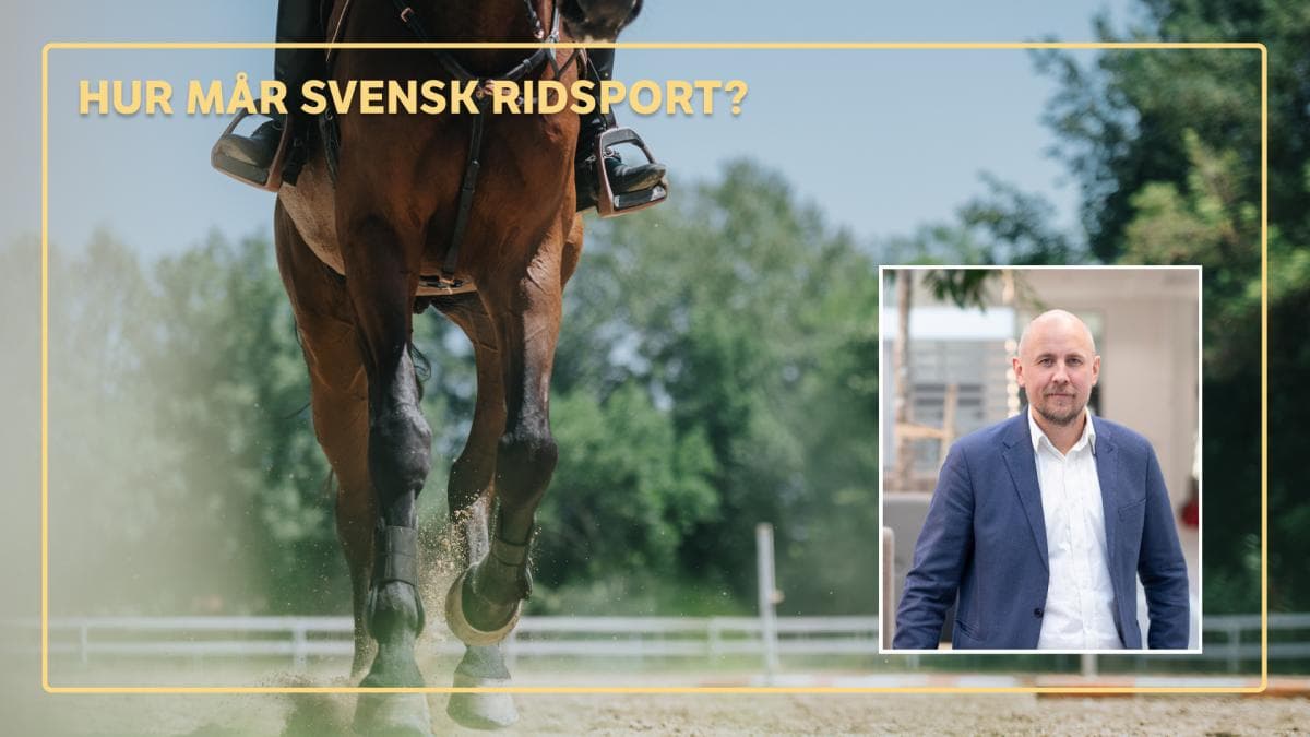 Vad får barn att stanna? Forskaren om ridsportens stora utmaning