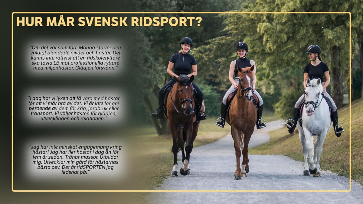 919 röster om svensk ridsport – det här svarade Hippsons läsare