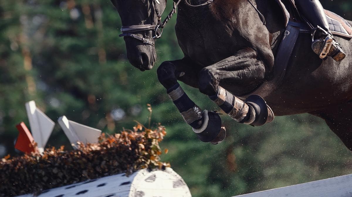 Fälttävlanseliten samlas hos Gärds – framtiden oviss