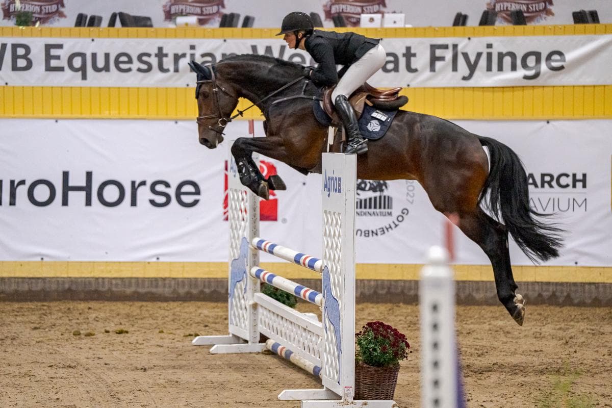 Tilda Eldh i topp – fyra hästar vidare till final