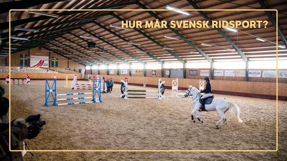 Forskaren om streaming: ”Det är inte barnen som har efterfrågat det”