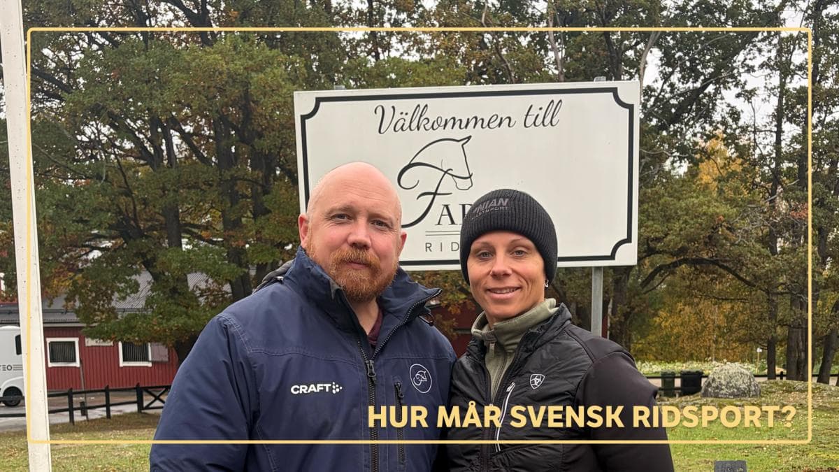 Så har Farsta ridskola vuxit: ”Vi vill hela tiden bli bättre”