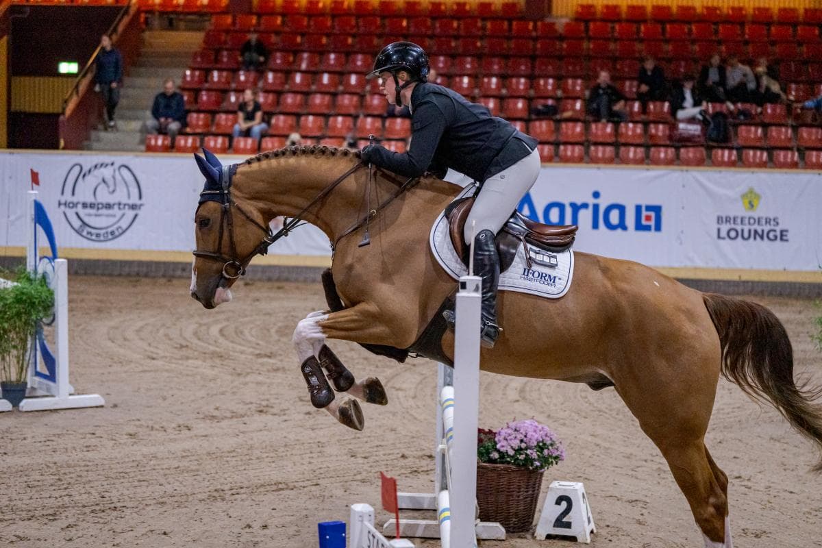 Uppfödarens chock efter Breeders resultatfel: “Litade på att det blivit rätt”