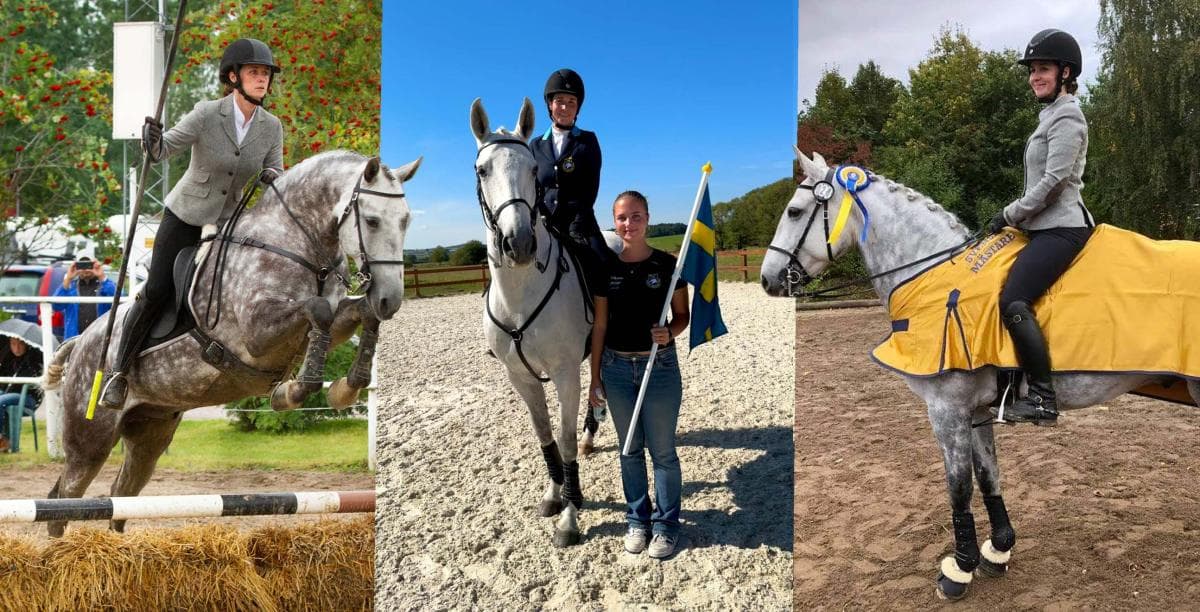 WE-ryttaren Idamaria har sålt Hoxi: ”Han lärde mig allt”