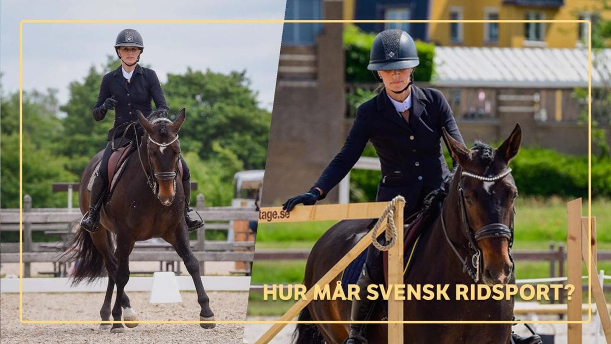 Fler upptäcker WE – hoppryttaren Malin Wikström är en av dem