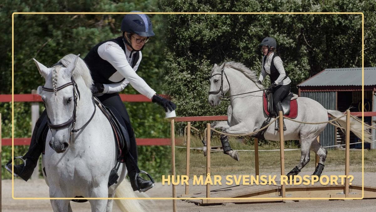 Elin vågade tävla för första gången – tack vare WE