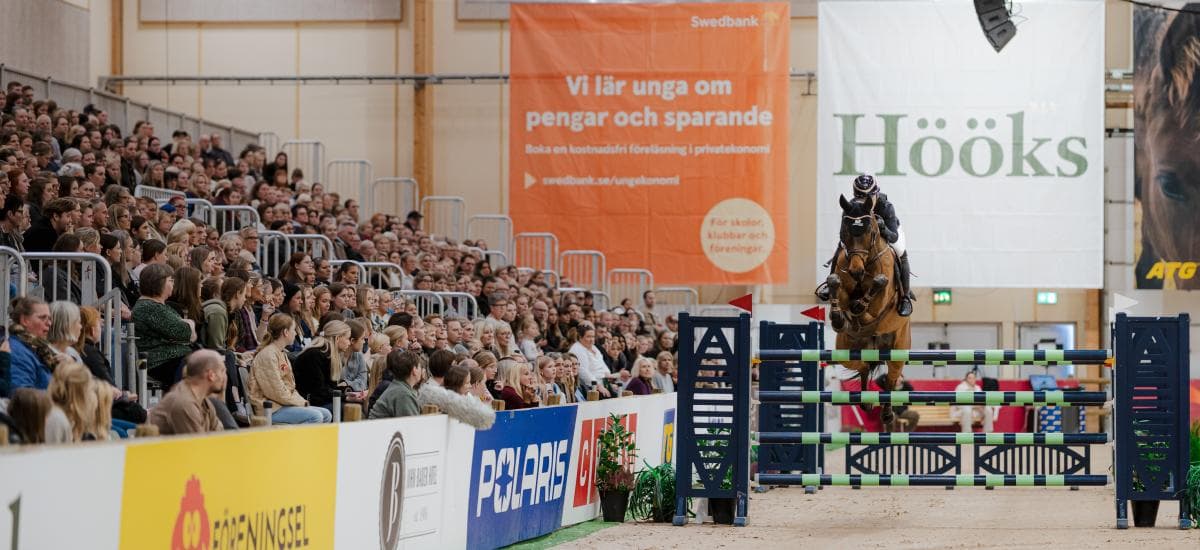 Käpphästdressyr och ny kunskapspaddock när JHS firar tio år