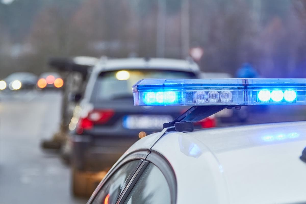 Häst död efter kollision med lastbil på E6