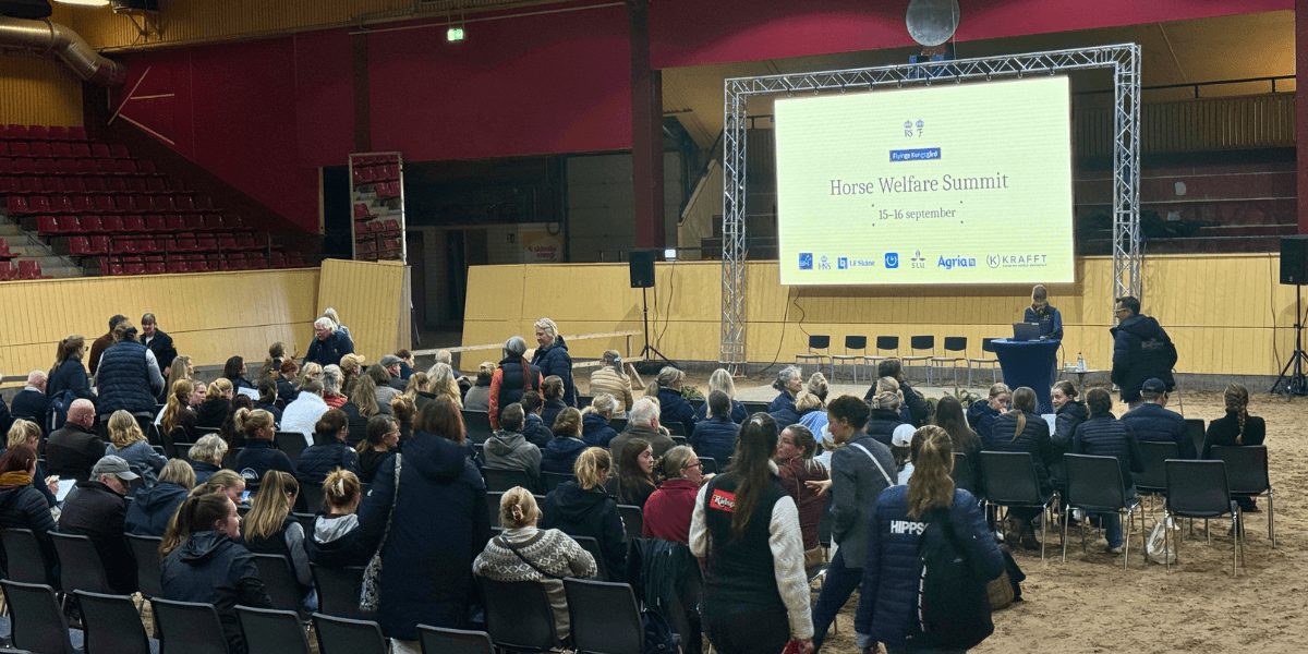 HWS 2026: Forskningen flyttar in i stallet