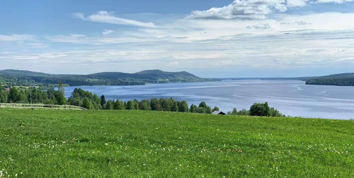 Lediga tjänster: Redovisningsekonom