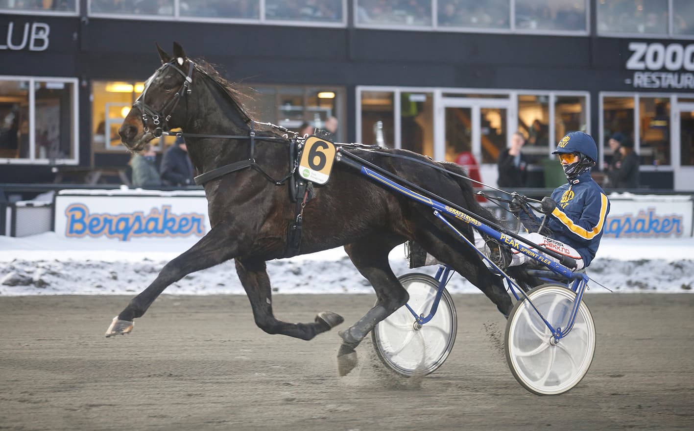 Historiskt för Wången – Villiam Avenue till start under Elitloppshelgen