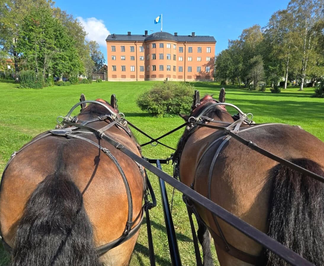 ”i framkant med sin stora medvetenhet kring hästvälfärd och omsorg om hästen”